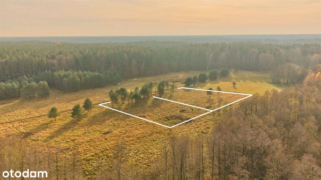Działki Niedźwiedzi Róg Mazury Śniardwy-5