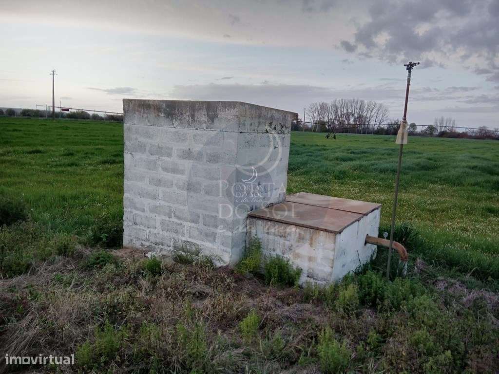 Terreno de 8 hectares c/ furo e pivot - Grande imagem: 2/3