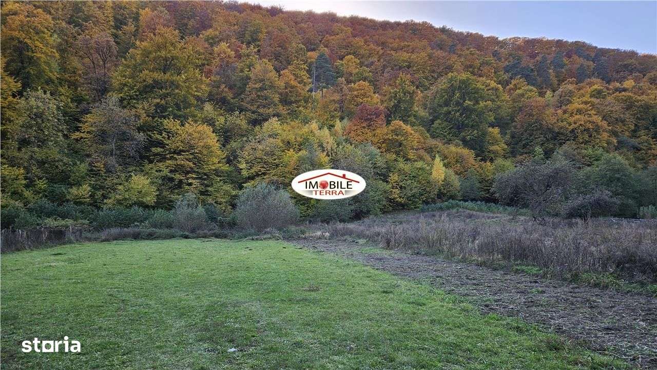 Gradina intravilan in Marginimea Sibiului sat Gales-1