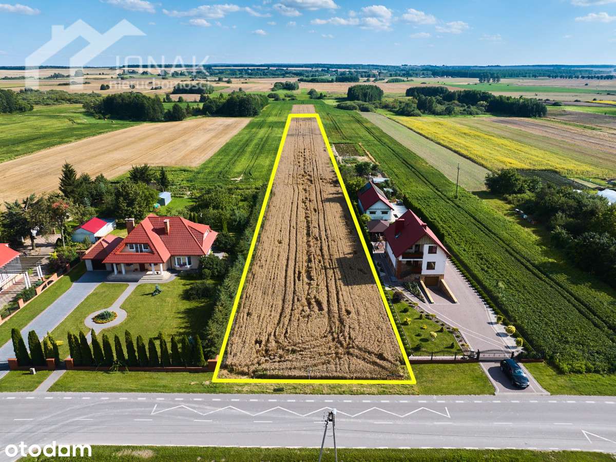 Wierzbica – duża działka 8010 m² z mediami - Pełny obrazek: 2/9