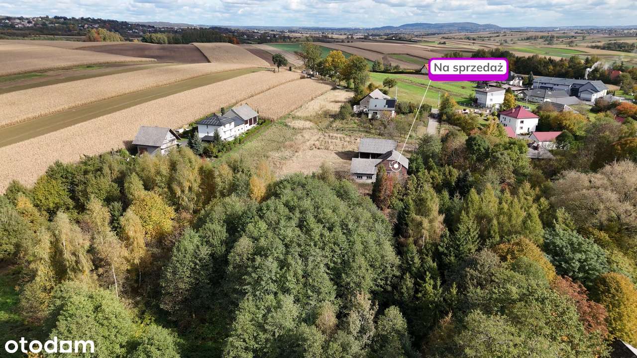 Działka 69 arów z zabudowaniami i lasem – Czułówek - Pełny obrazek: 5/12