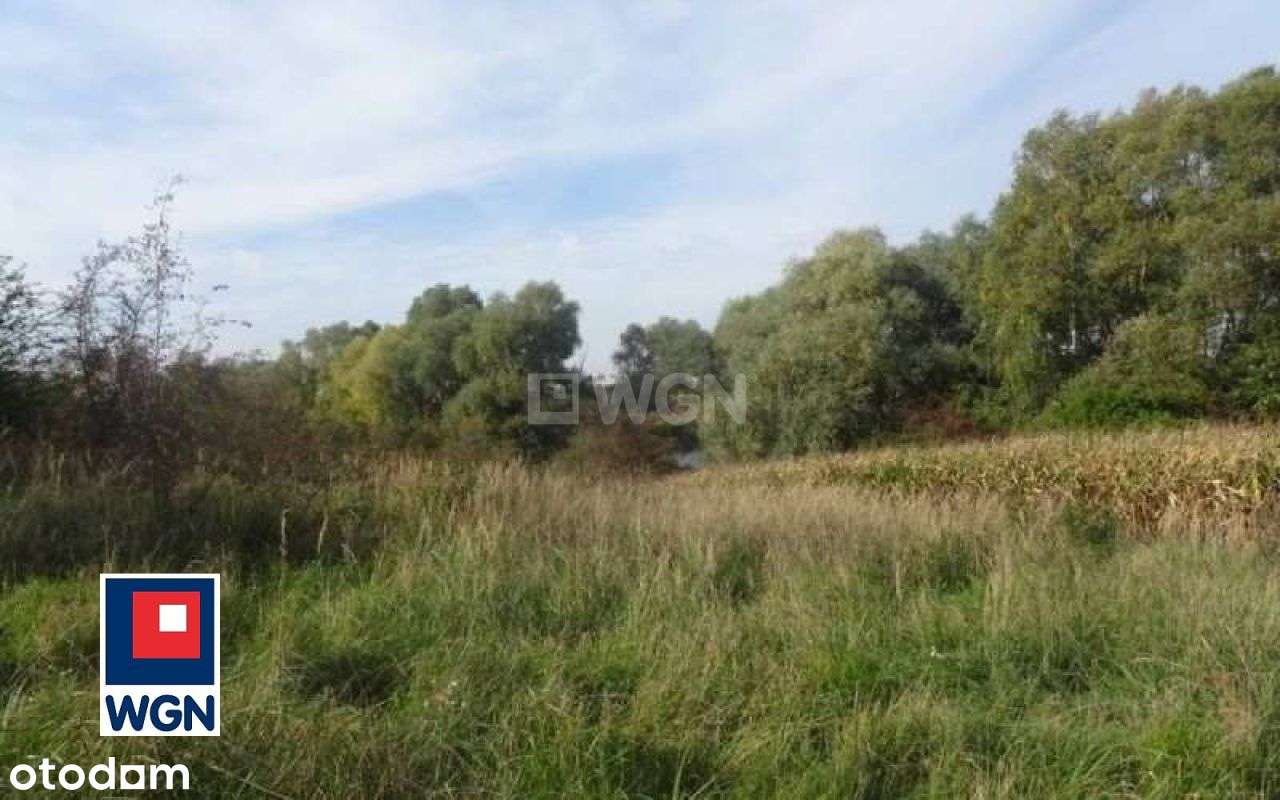 Działka Z Linią Brzegową Jeziora-10