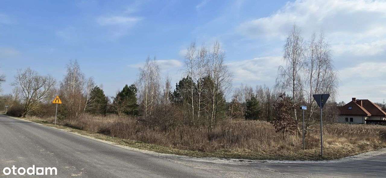 Działka w spokojnej okolicy. Aż 2624 m2 - Pełny obrazek: 4/7