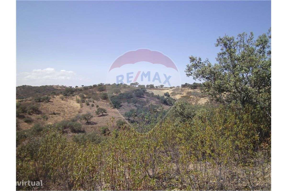 Terreno  para venda - Grande imagem: 1/3