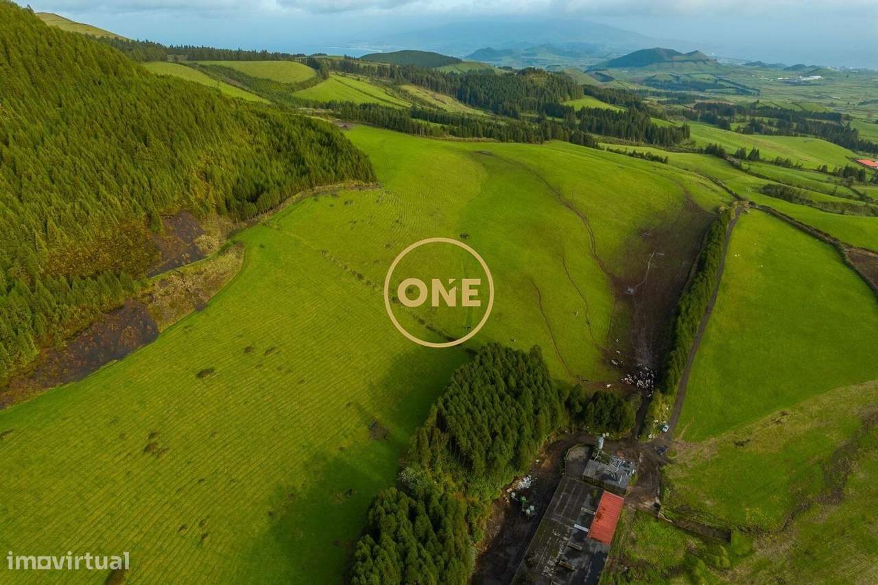 Terreno Premium na Relva - Grande imagem: 3/7