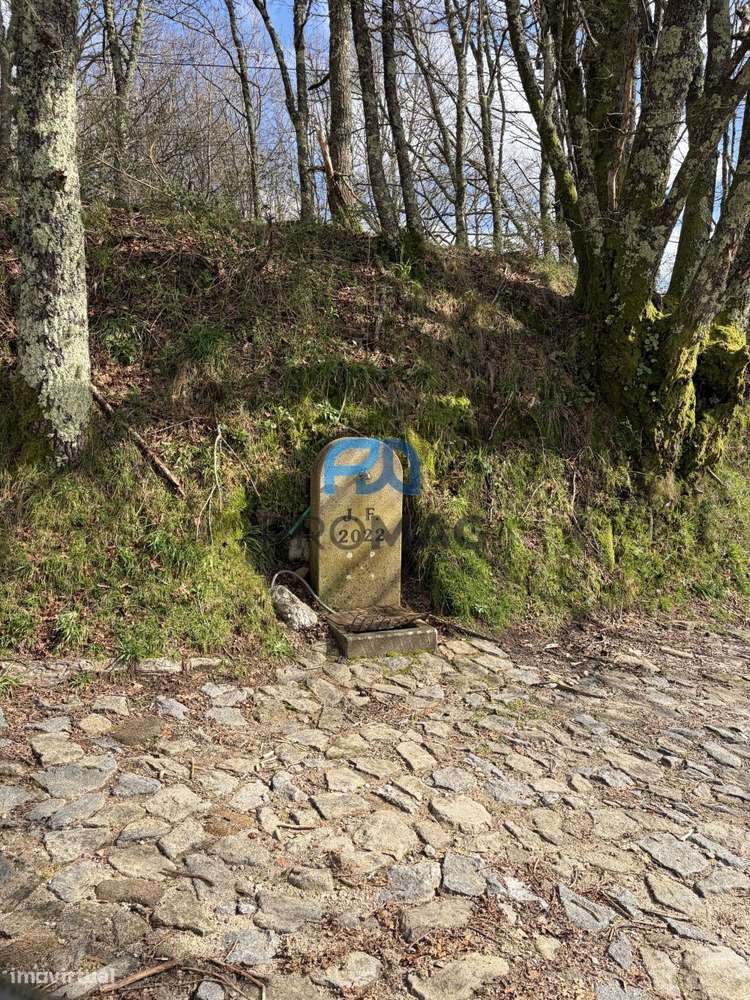 Armazém com 140 m2 inserido em terreno com 1989m2-37