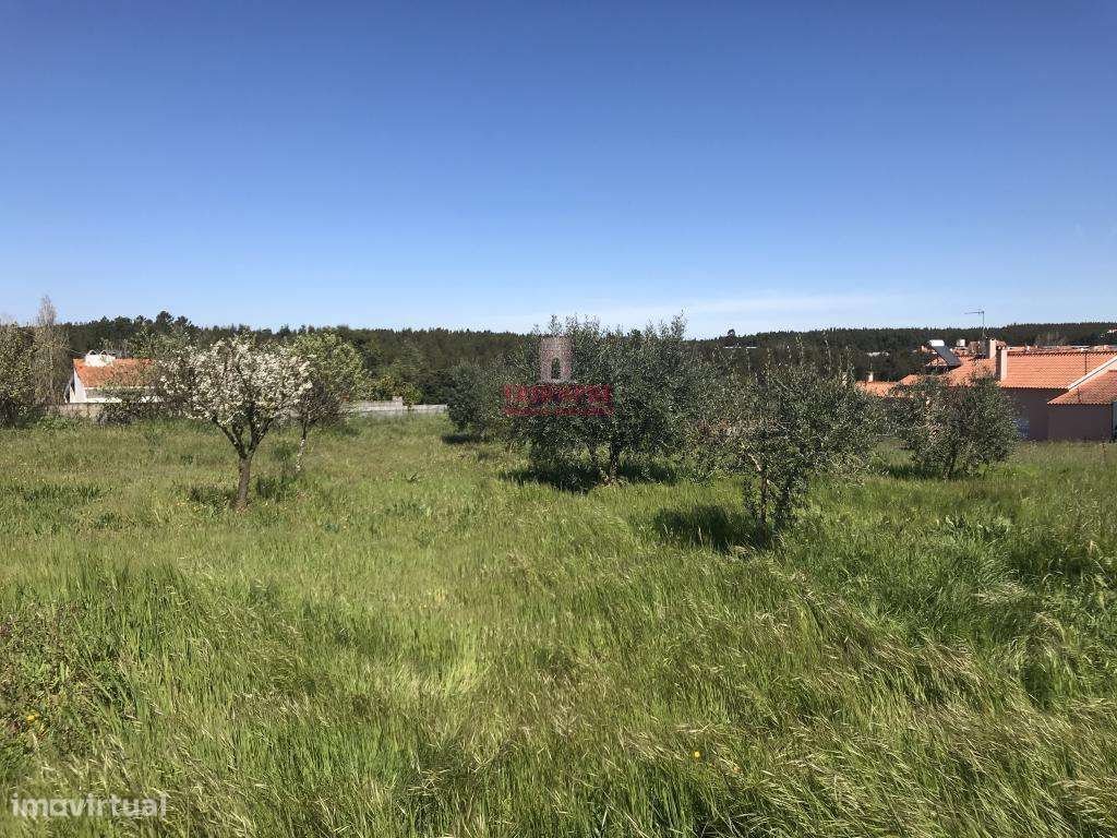 Terreno Urbano 7.750 m2, Asseiceira, Rio Maior - Grande imagem: 5/17