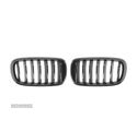 GRELAS FRONTAL PARA BMW X6 F16 14- COR PRETO BRILHANTE - 2