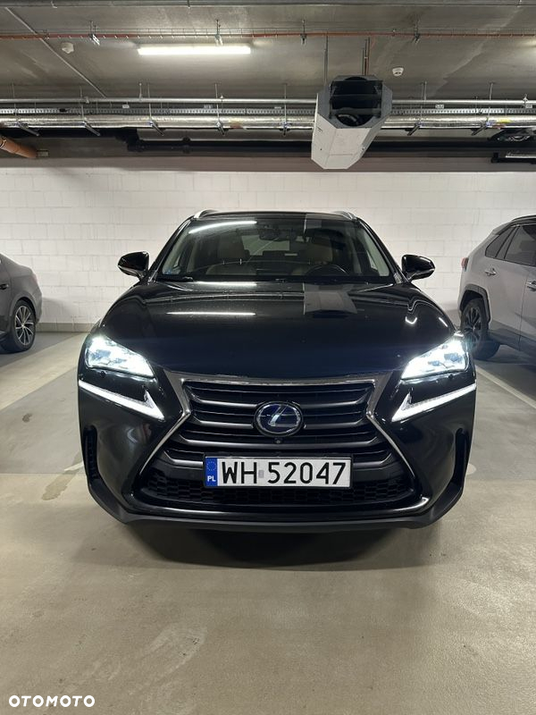 Lexus NX 300h - 2