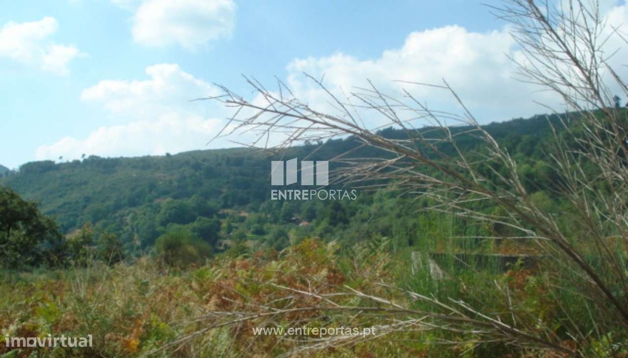 Venda Terreno, Gestaçô, Baião - Grande imagem: 1/4