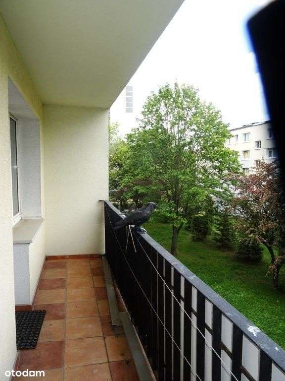 Mieszkanie na sprzedaż Rataje-1