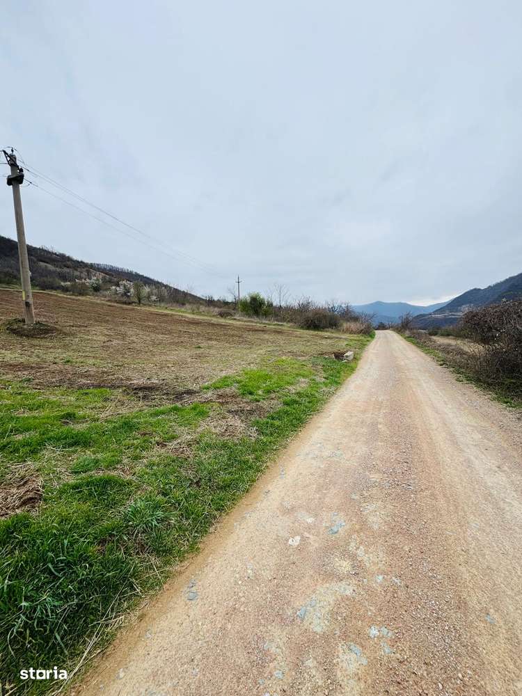 AV644 Teren intravilan, BERZASCA-DUNARE, 6042mp - Imagine principală: 2/9