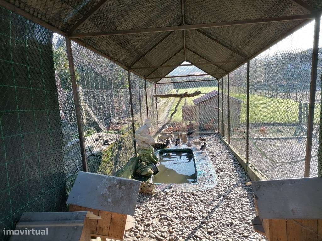 Terreno com 2.430 m² e Ruína em Ribeirão-18