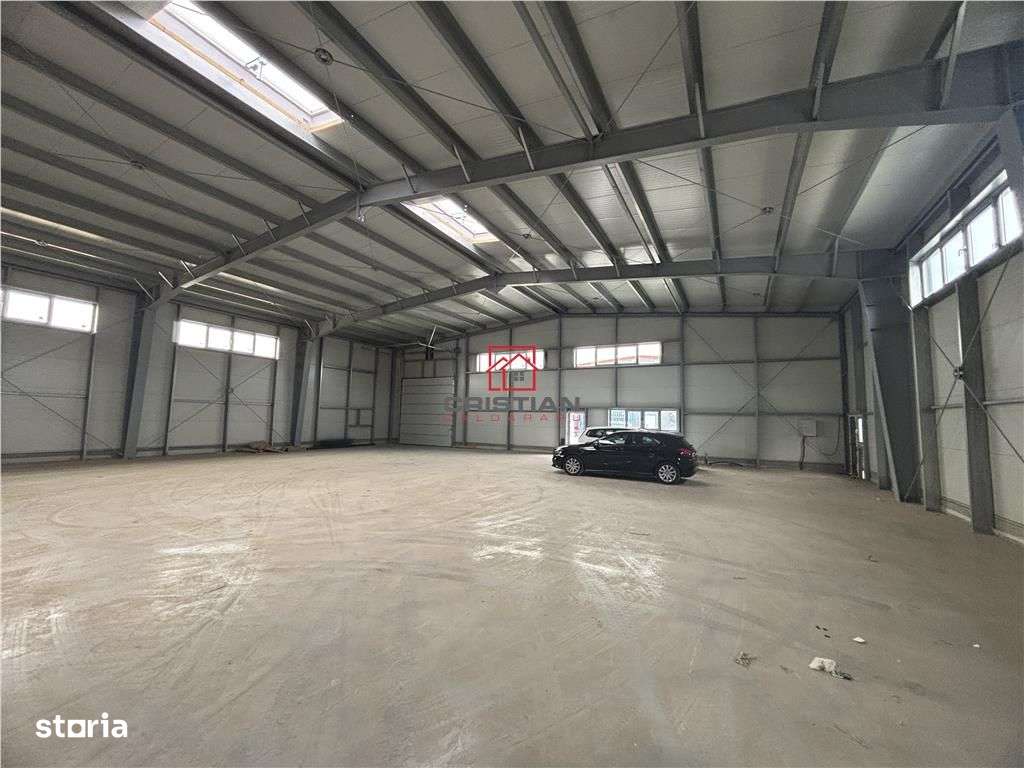 OCAZIE...BLACK FRIDAY... Inchiriere depozithalaspatiu industrial Pante - Imagine principală: 2/16