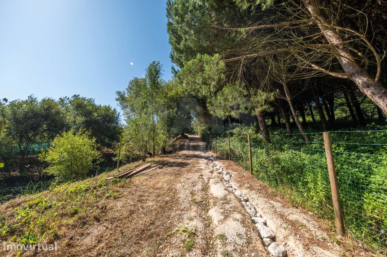 Terreno Agrícola na Fanadia | 16.100 m² de Potencial e Infraestrutu...-15