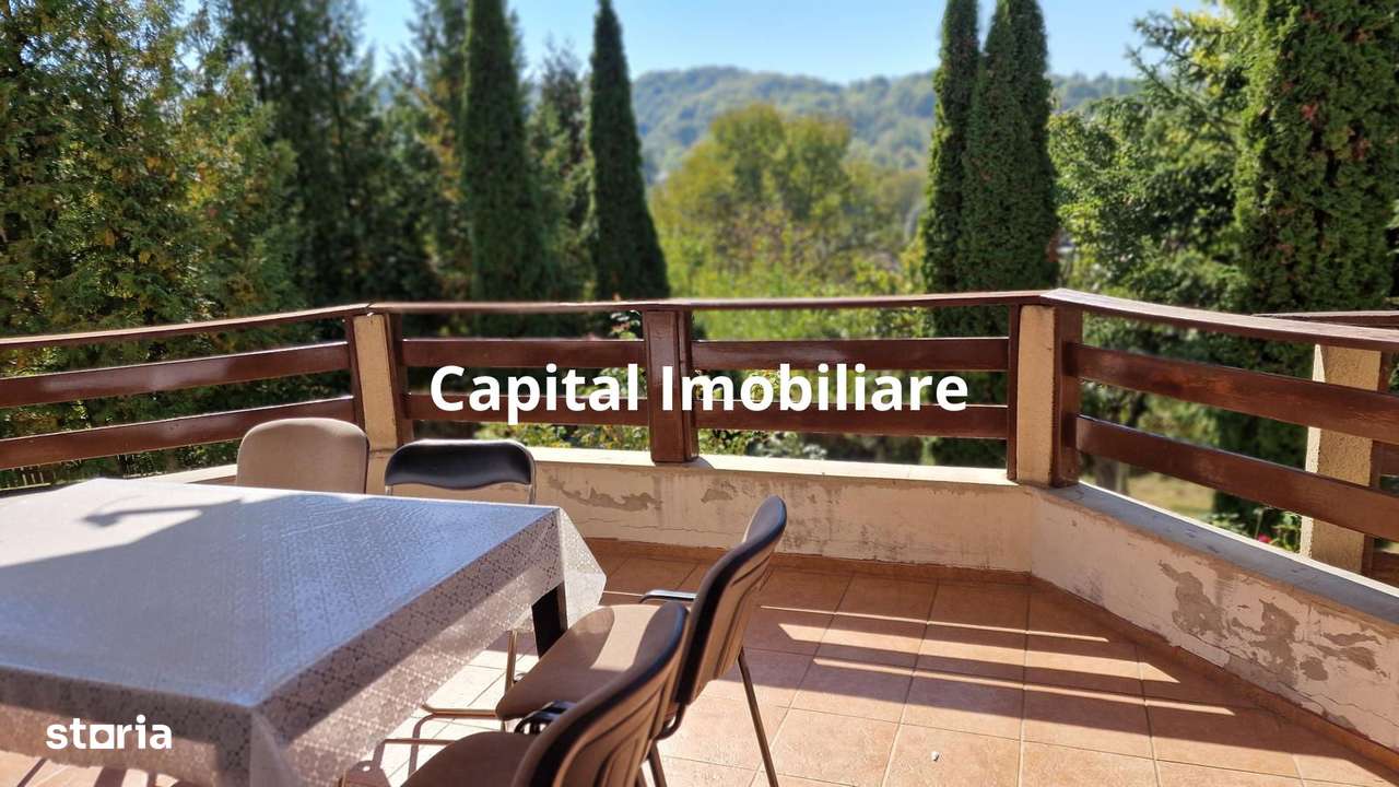 Vila spațioasă 5 dormitoare, Provita de Jos - Imagine principală: 4/20