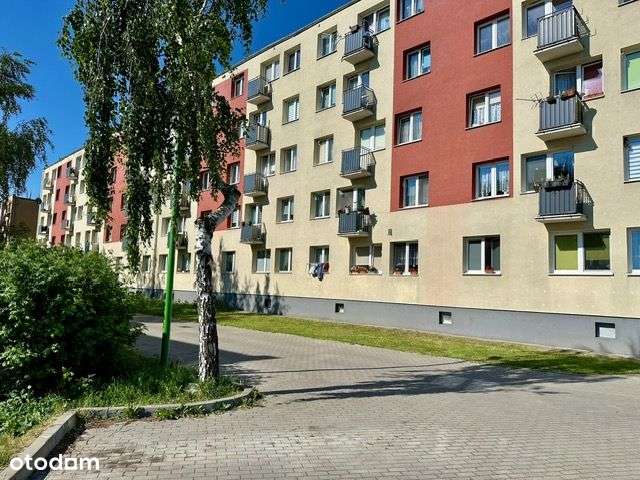 Na sprzedaż 3 pok. mieszkanie Tczew, ul. Orkana