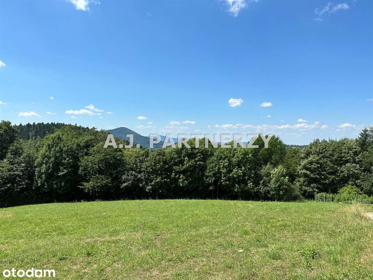 Działka w otoczeniu lasu z widokiem na góry-5