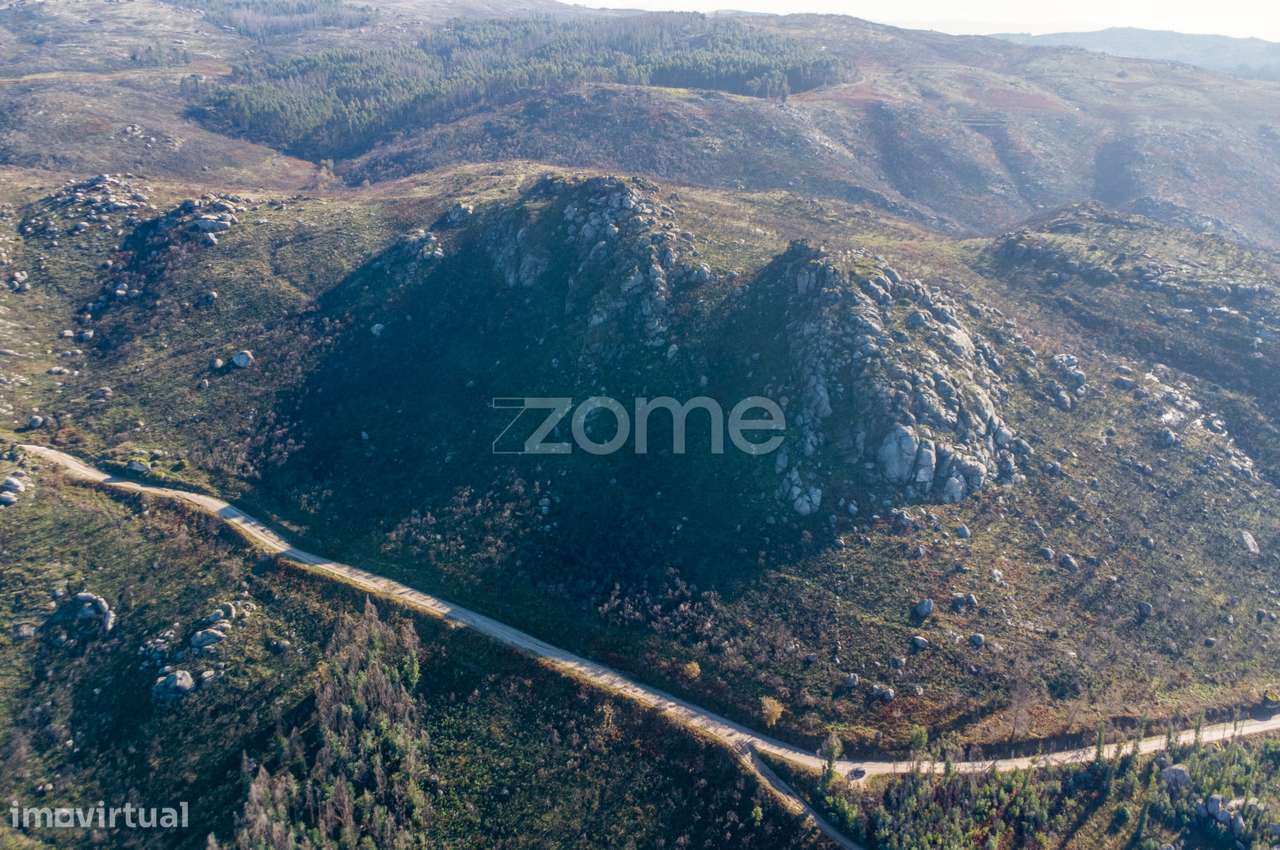 Terreno florestal com 4.2 hectares em Marco de Canaveses - Porto - Grande imagem: 3/7