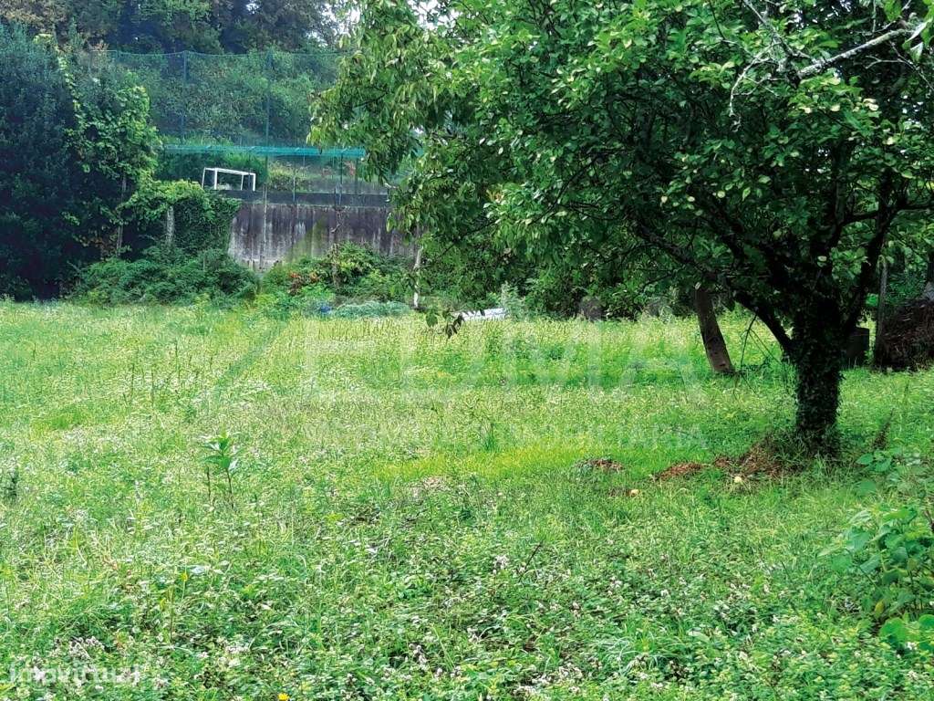 Terreno Rústico São Lourenço Selho - Grande imagem: 5/9