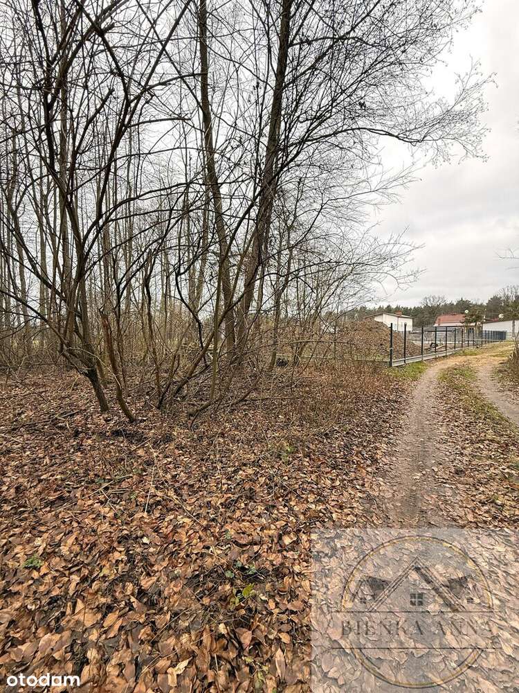 Działka na sprzedaż Mariew Stare Babice blisko las-5