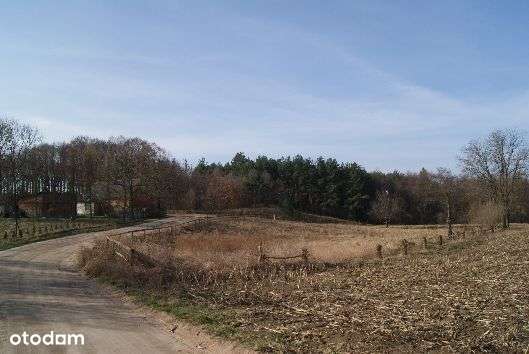 Działka  na sprzedaż - Pełny obrazek: 2/14