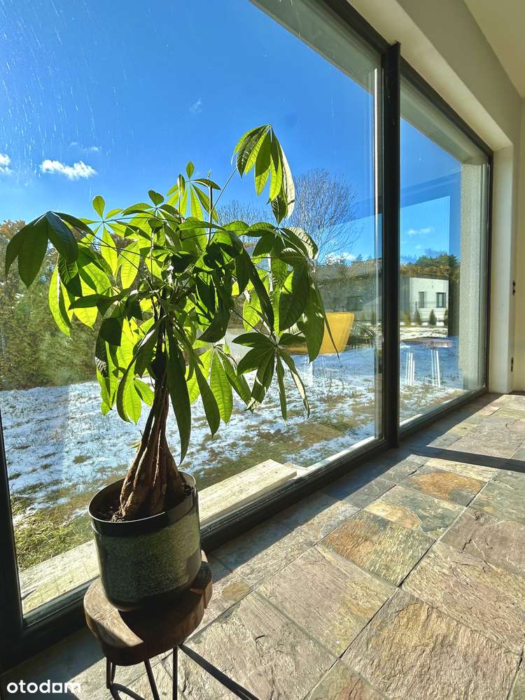 Na sprzedaż: Wyjątkowy dom parterowy | Bartoszewo | 157 m²-5