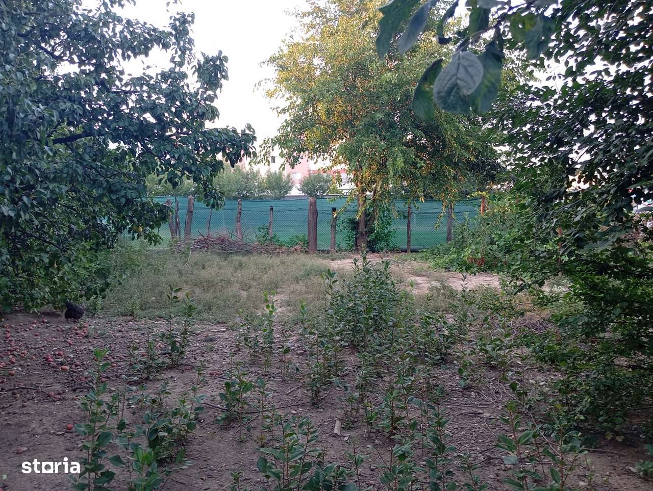 Loc de casa in zona Bujac-4