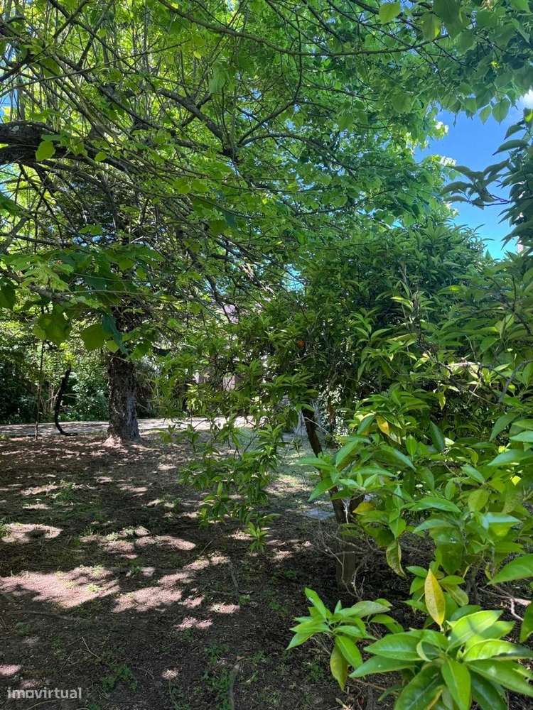 Moradia T4 com Jardim e Vista de Campo na Golegã-33