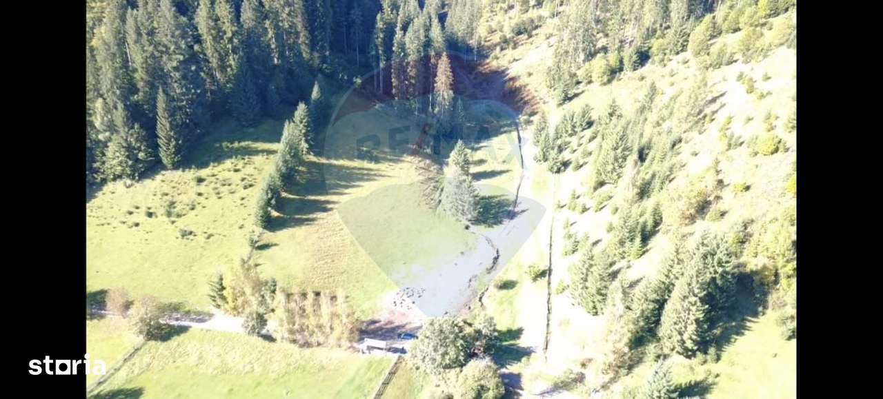 Teren 9555mp, din care 6120m.intravilan Vatra Dornei. - Imagine principală: 4/6