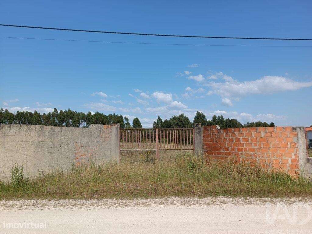 Terreno em Benavente de 4990,00 m2 - Grande imagem: 2/3