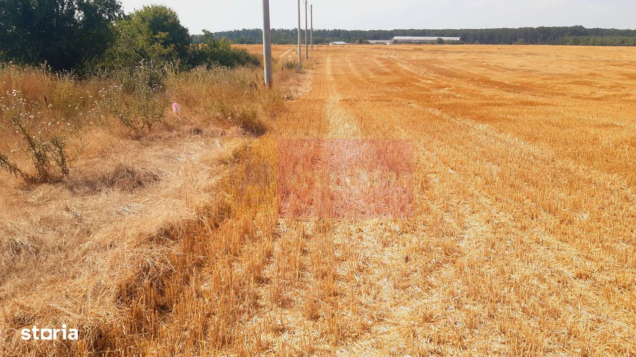 Teren pentru casă/case în Brănești pe strada Toporași - Imagine principală: 2/20