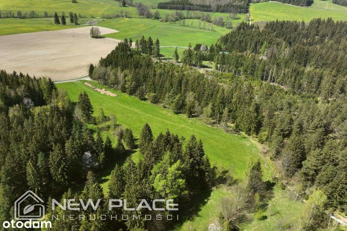 Obniżka! Z Mpzp, widok Gór Stołowych, Złotno - Pełny obrazek: 3/15