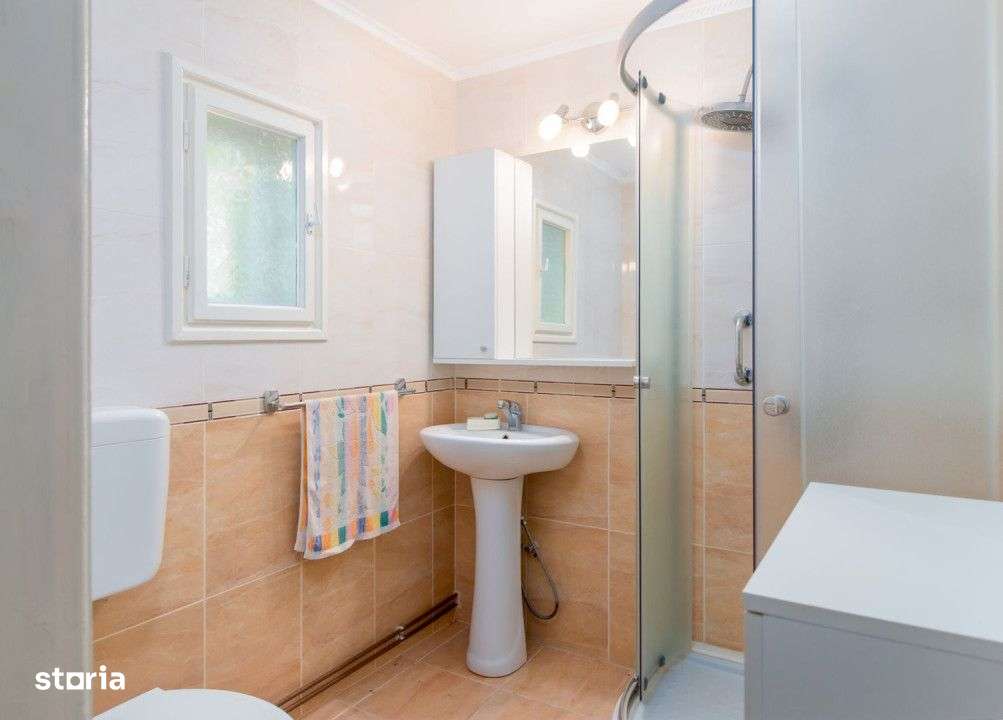 Casa in localitatea Balaia, judetul Bihor-8