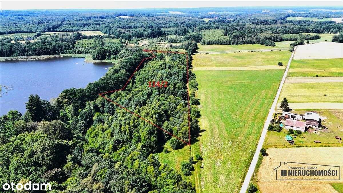 Duża działka siedliskowa nad Jeziorem Kiełpino - Pełny obrazek: 3/20