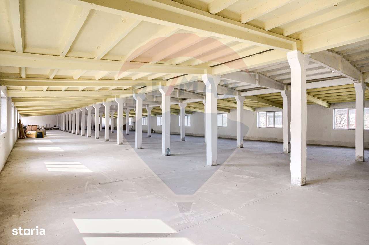 Hala de inchiriat 1000 mp, Calea Bodrogului - Imagine principală: 3/9