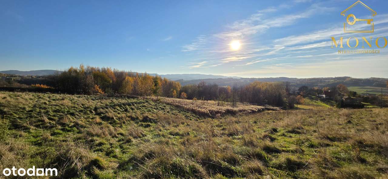 Widokowa działka 58 ar z WZ na 2 domy-13