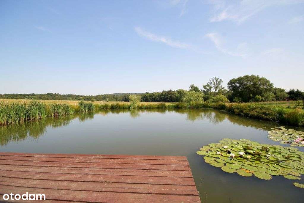 Magiczna działka budowlana ze stawem - Pełny obrazek: 5/20