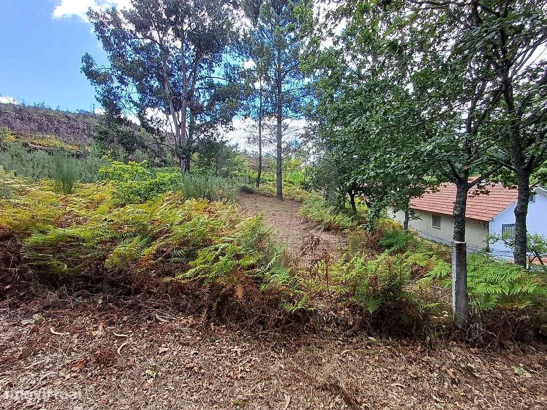 Terreno  para venda-4