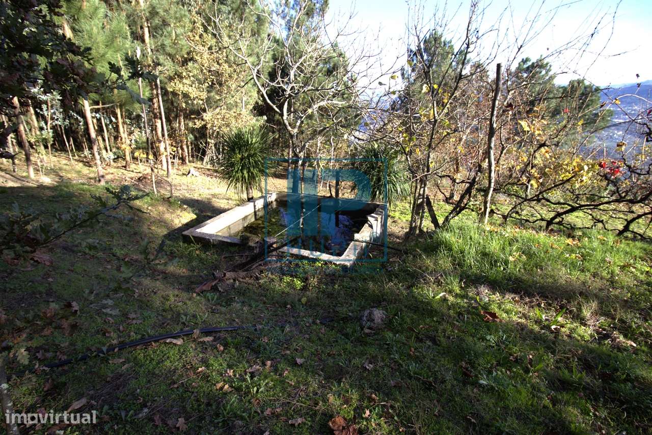 Quinta T3+1 Venda em Penhalonga e Paços de Gaiolo,Marco de Canaveses-34