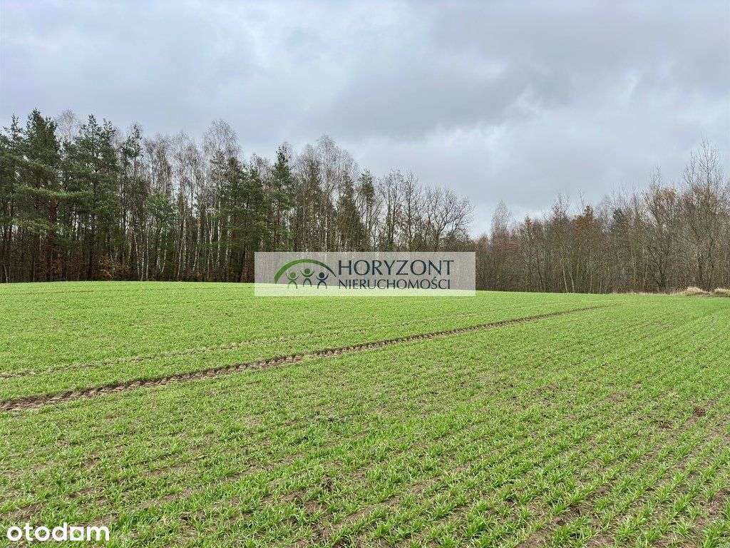 Miszewo - 2,1957ha - wydane Wz - nowa cena! - Pełny obrazek: 5/8