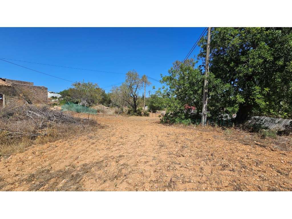 Moradia para Restaurar - BOLIQUEIME - Grande imagem: 5/28