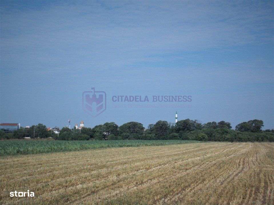 LAZU - Teren intravilan 1500 mp, cu deschidere la DN39! - Imagine principală: 1/9