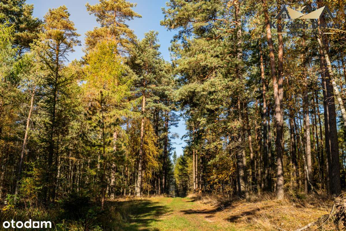 Działka objęta mpzp w gm. Kościerzyna! - Pełny obrazek: 4/10