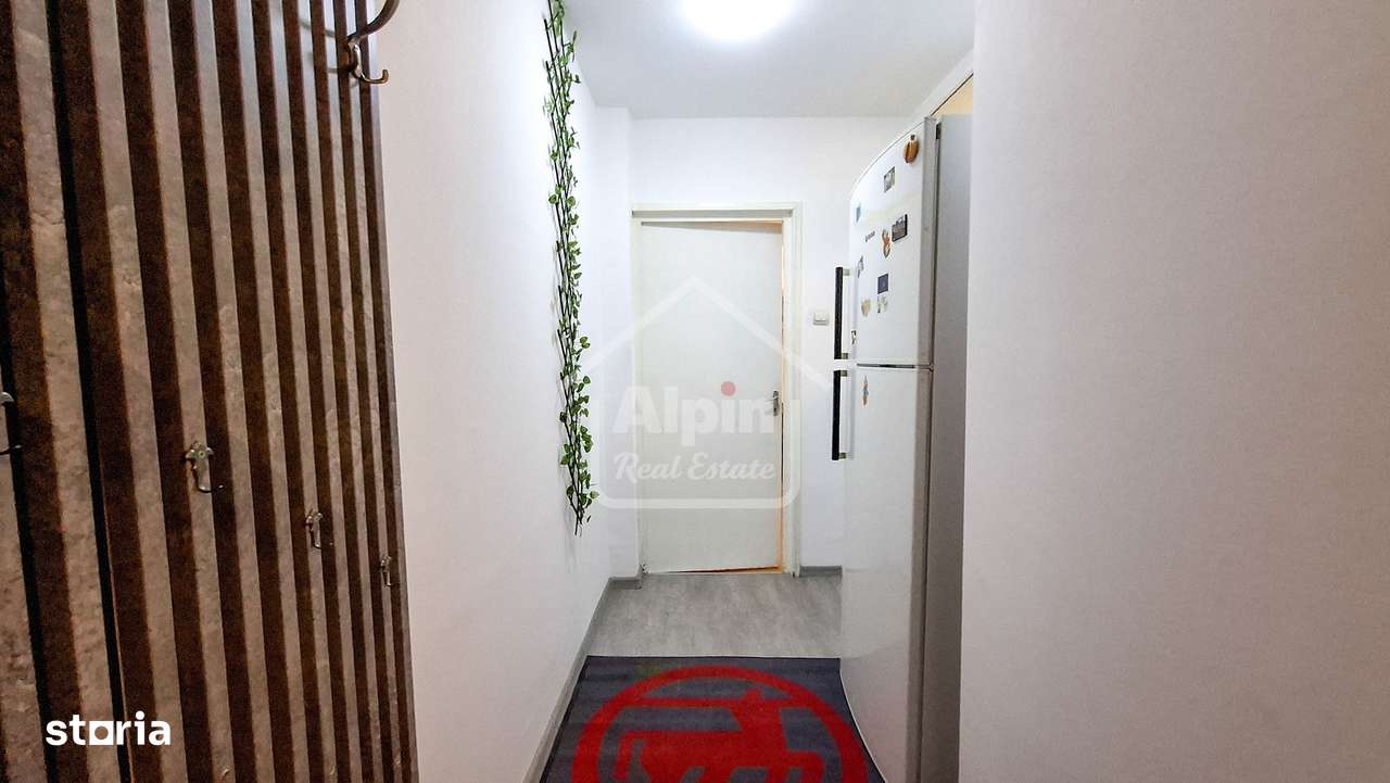 Suprafata Generoasa I Zona Gemenii-10