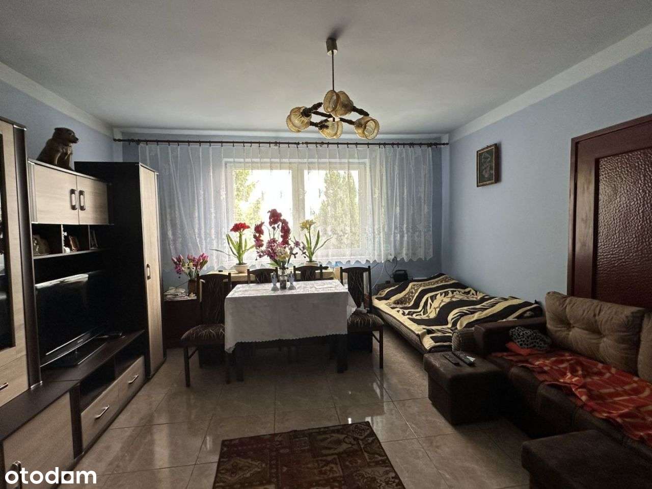 Działka 6923 m2 z domem 177,9 m2 w Rentwiny ! - Pełny obrazek: 5/9