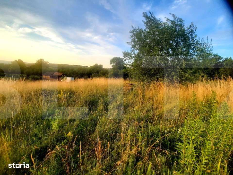 Teren intravilan 1129 mp, PUZ in lucru, in Borhanci - Imagine principală: 2/10