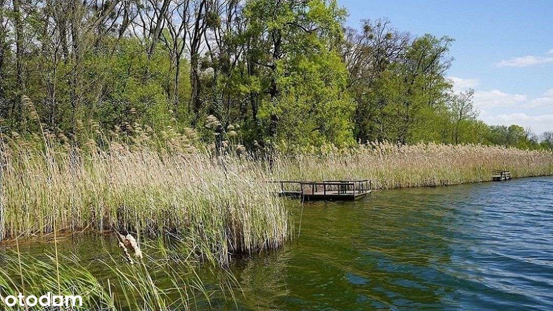 ok.Chrzypsko Wlk.764m2;809m2 lub 1203m2-13