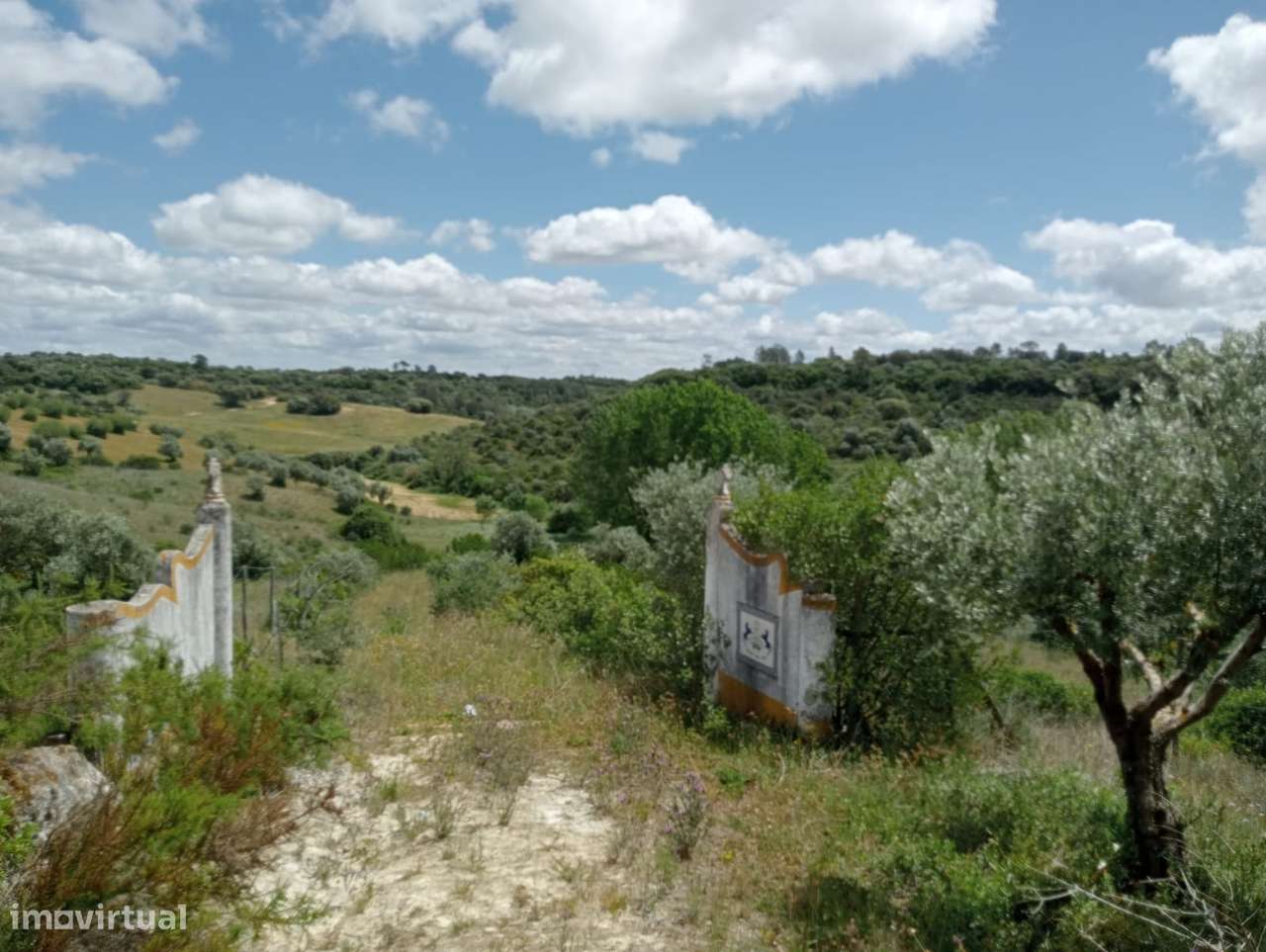Terreno Urbano de 4,872 hectares em Santarém-1