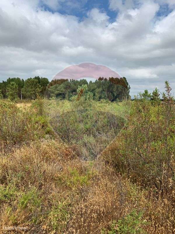 Terreno  para venda - Grande imagem: 4/8